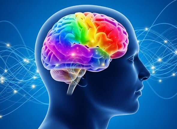 Brain System