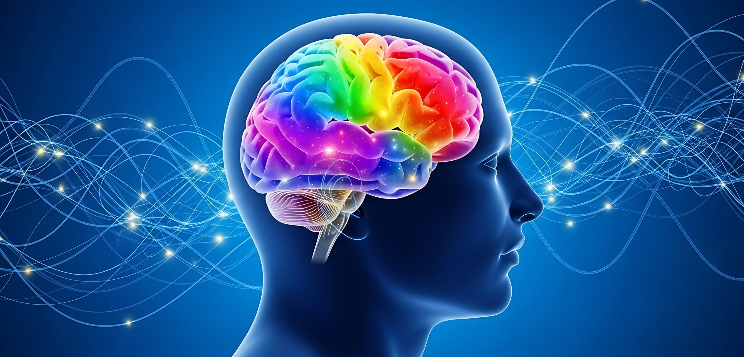 Brain System